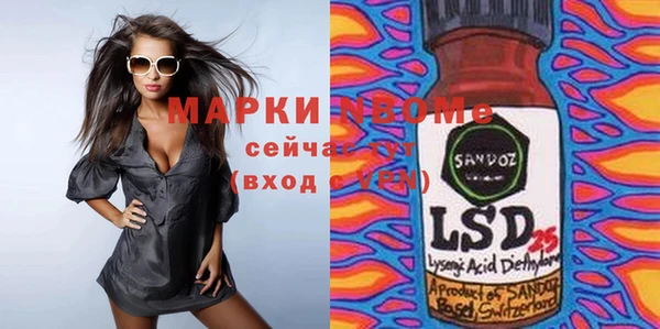 шишки Дубна