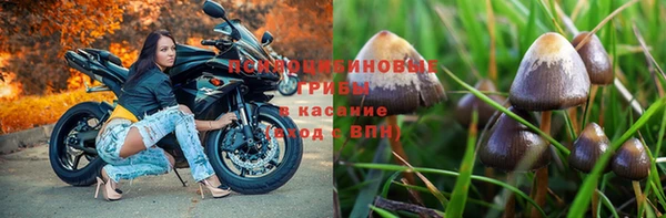 марки nbome Чегем