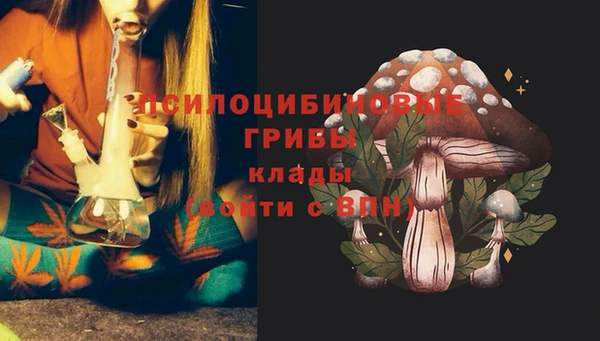 прущая мука Армянск