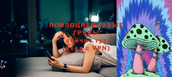 прущая мука Армянск