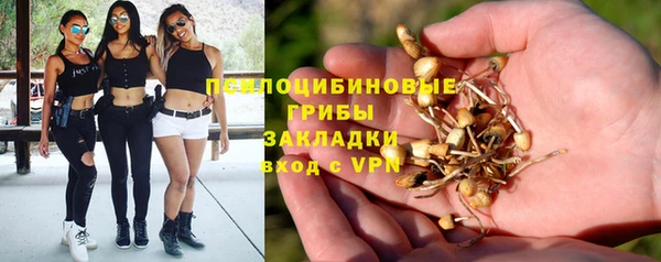 винт Аркадак
